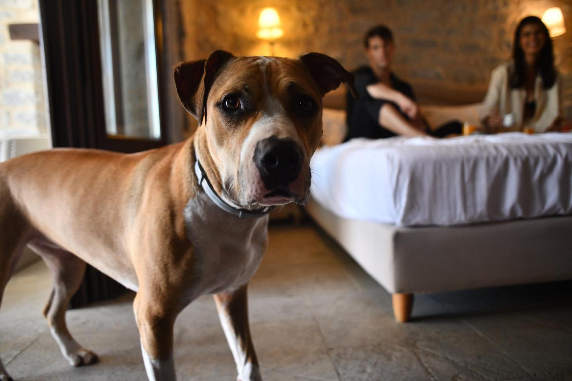 Petra & Fos Boutique Hotel & Spa إيتيلو المظهر الخارجي الصورة